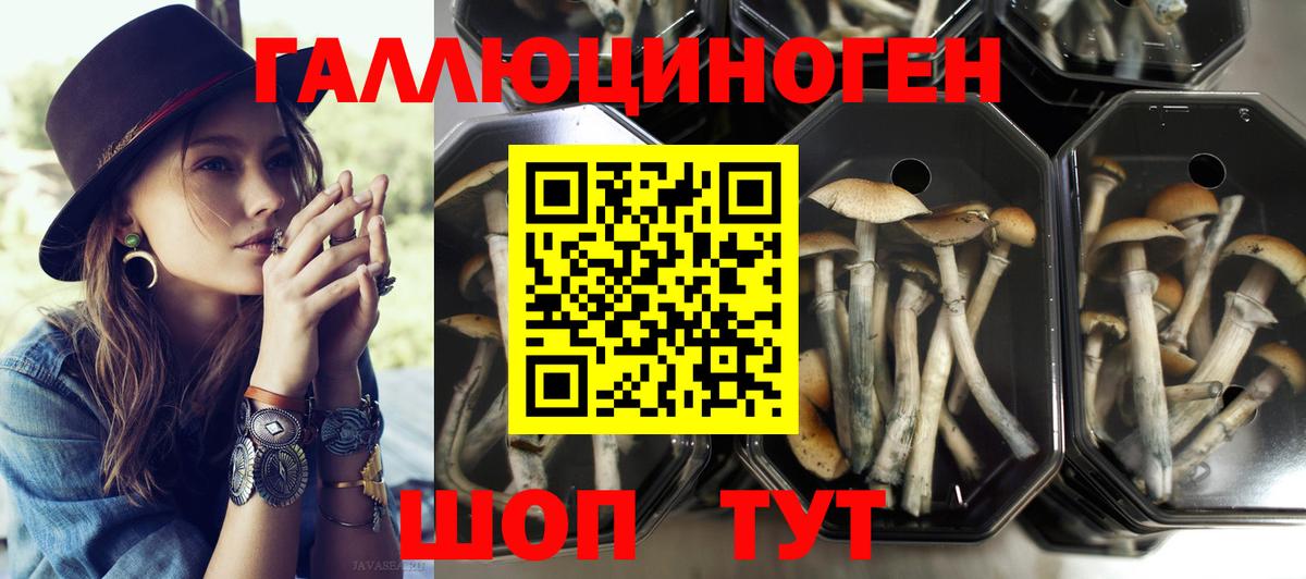 Галлюциногенные грибы Magic Shrooms Тихвин